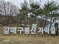 갈매구릉산 걷기(..