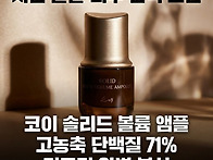 코이 솔리드 단백질 리프팅..