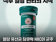 혈당 유산균 당큐락 6개월..