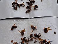 두시간 동안 받은 단체 손..