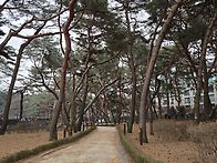 2/10일 서울둘레길
