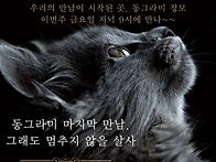 27대 마지막 정모 합니다