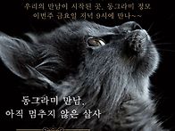9/19 정모공지