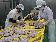 판매 종료 감사합니다.