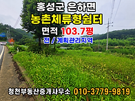 홍성 / 시내.홍성IC차량 ..