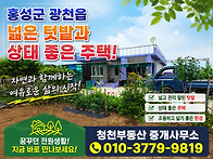 홍성 /광천읍 넓은텃밭 태..