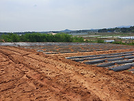 나주시 봉황면 유곡리 전 ..