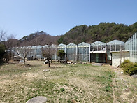 원주 유리온실 창고 식물원..