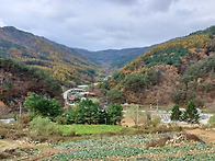 주말마다 힐링받는 소액 ..