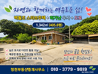 보령시천북면 산자락 독립..