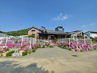 홍천군 서면 중방대천계곡..