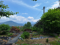 지리산 천왕봉 뷰, 뱀사골..