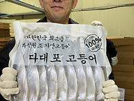 국내산 대짜리 10마리 배..