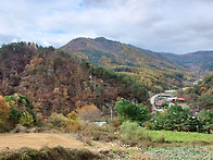 평창 탄성나오는 뷰! 먼산..