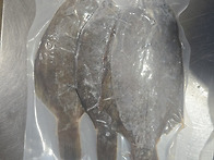 미더덕, 문어, 장어, 멍게..