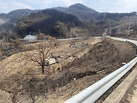안동 길안 밭 팝니다