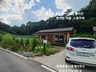 홍성 홍동면소재지 차량5..