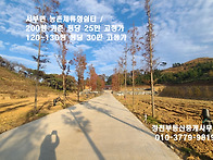 홍성 /서해바다조망 농촌체..