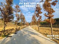 홍성 서해바다인근 복토공..