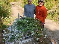 강원도 홍천오지의 산물