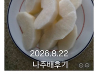 2026년 나주 햇배