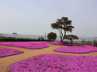 순천시 해룡면 농주리 (가..