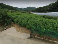 괴산] 면소재지 4km 밭으..