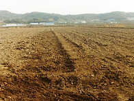 서산간척지 A지구 토지 매..