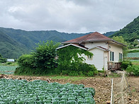 평창 확트인 산과 마을 풍..