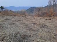 전망좋은 곳 싸게 팝니다
