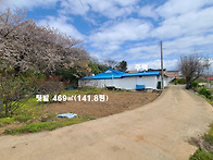 홍성 서해바다 차량 2분 ..