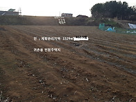 홍성 / 홍성톨게이트 차량..