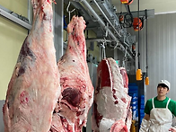 🌟 무항생제 1..