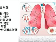 비트가루 판매 (간기능 혈..