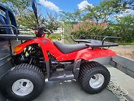 대림 ATV 100cc 올코트 ..