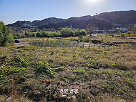 충남 부여] 면소재지 정남..