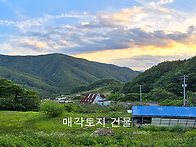 소백산 500고지 청정 계곡..