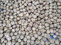 재래 호두 판매