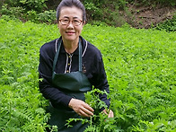 계피가루판매(당조절 면역..
