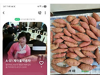 2026년 햇고구마