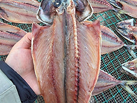 3마리1만원!특가이벤트&#65310;&#65310;..