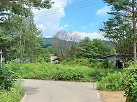 평창 IC 5분,이런 숲속 공..