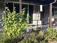 영덕 전원주택 매매