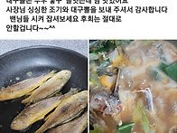 대구뽈....대구고니