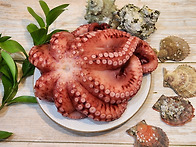 마리당 1kg가 넘는 사이즈..