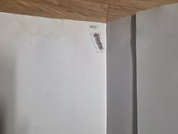 효소만들기ㆍ야생화등 9권