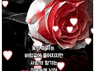 &#127799;목요일 아침..