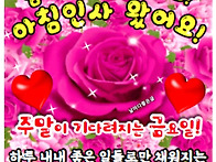 &#127801;금요일 아침..