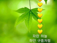 &#127804;수요일 문안..