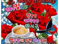 ☕일요일 사랑편..